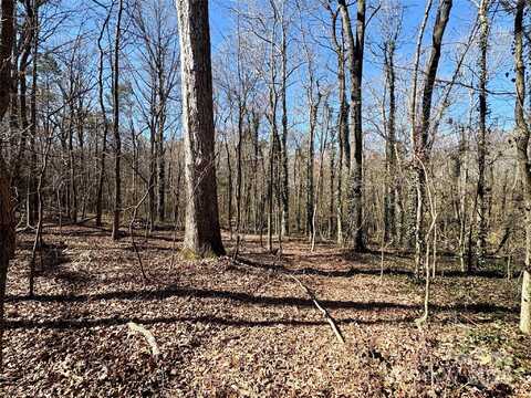 1417 Ellis Griffin Road, Wingate, NC 28174