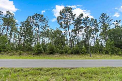 SW 128TH PLACE, OCALA, FL 34473