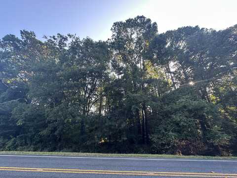 Lot 3a Elberton Highway, Lincolnton, GA 30817