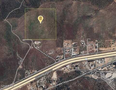 Valleysage Road, Agua Dulce, CA 91390