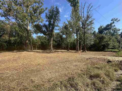 0.53 Acres Split Log Rd, Saint Amant, LA 70774
