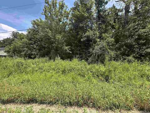 0.53 Acres Split Log Rd, Saint Amant, LA 70774