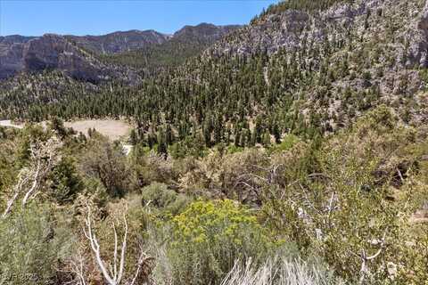 335 Crestview Drive, Mt Charleston, NV 89124