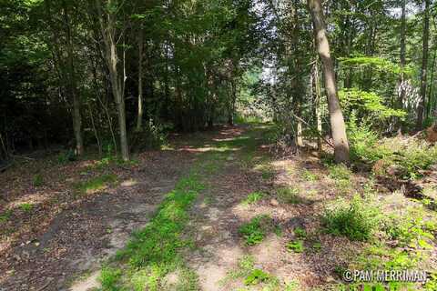V/L Youngman Road, Trufant, MI 49347