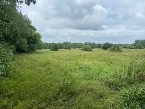 0 Phal Road, Grass Lake, MI 49240
