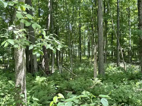 Flach Road, Vicksburg, MI 49097