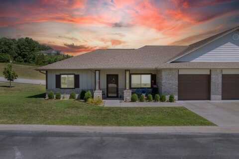 126 Vista View Drive, Branson, MO 65616