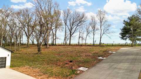 Lot 4 Jeanne Drive, Mount Vernon, MO 65712