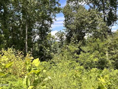 2 Lots Loop Road, Gatlinburg, TN 37738