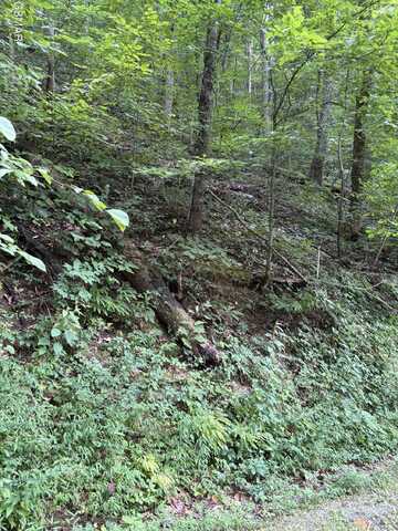 0 Feld Wynde Close Way Lot 41, Sevierville, TN 37862