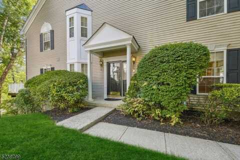 14 Cannon Ct Ondo, Bernardsville, NJ 07920
