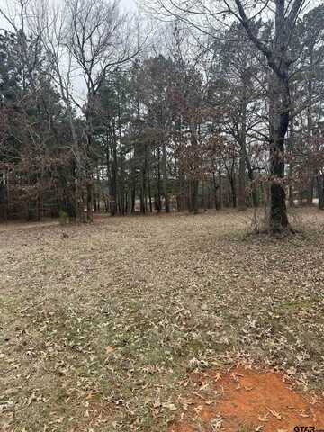1040 FM 2682, Karnack, TX 75661