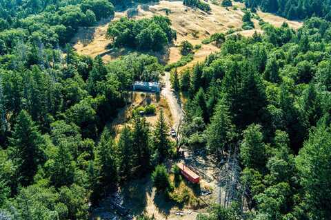 369 Burr Valley Road, Bridgeville, CA 95526