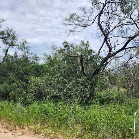 Tbd Carlton Trail, Kingsland, TX 78639