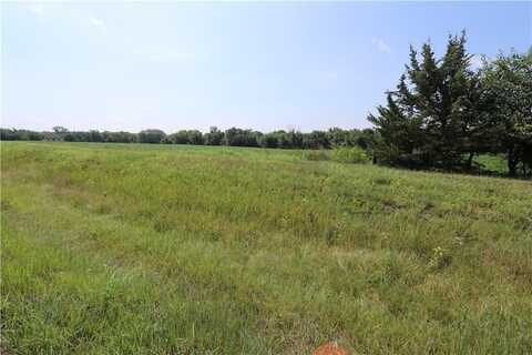 Hospital drive 13.77 Drive, Paola, KS 66071