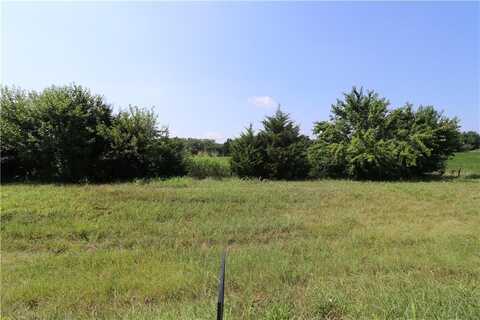 Hospital drive 61.74 Drive, Paola, KS 66071
