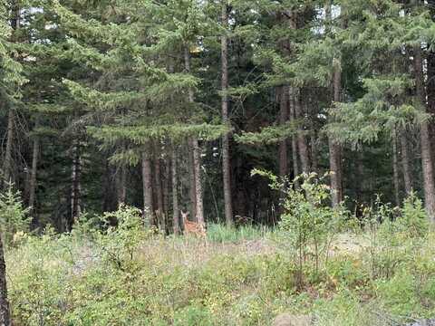 Tbd Harlow Ridge Rd - Cloverland Estates 27, Asotin, WA 99402