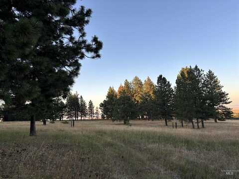 Tbd Harlow Ridge Rd - Cloverland Estates 35, Asotin, WA 99402