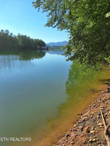Old Chisholm Trail, Dandridge, TN 37725
