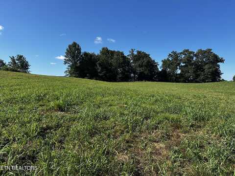 Lot 2 Reliance Rd, Tellico Plains, TN 37385