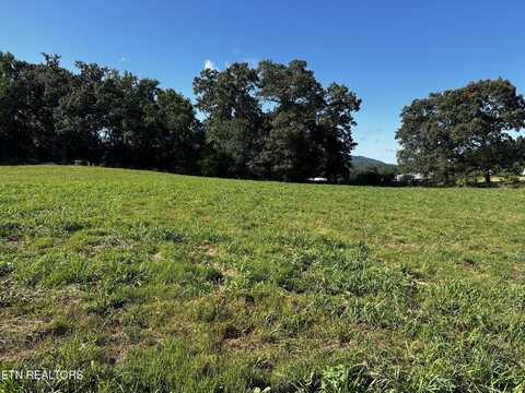 Lot 1 Reliance Rd, Tellico Plains, TN 37385