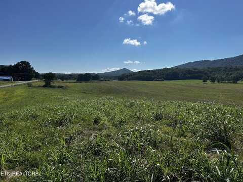 Lot 5 Reliance Rd, Tellico Plains, TN 37385