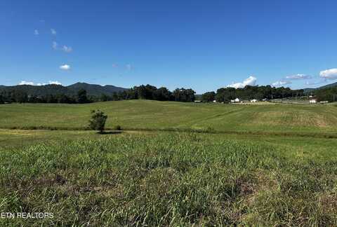 Lot 4 Reliance Rd, Tellico Plains, TN 37385