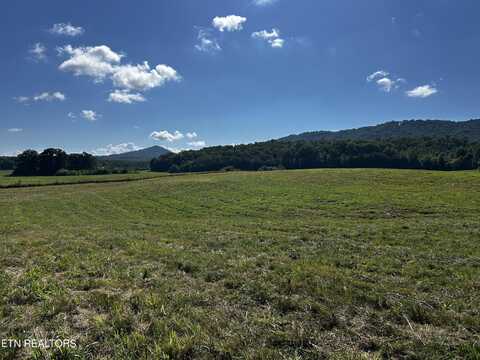 Lot 7 Reliance Rd, Tellico Plains, TN 37385