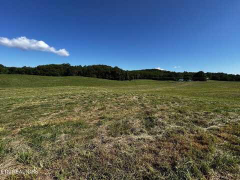 Lot 6 Reliance Rd, Tellico Plains, TN 37385