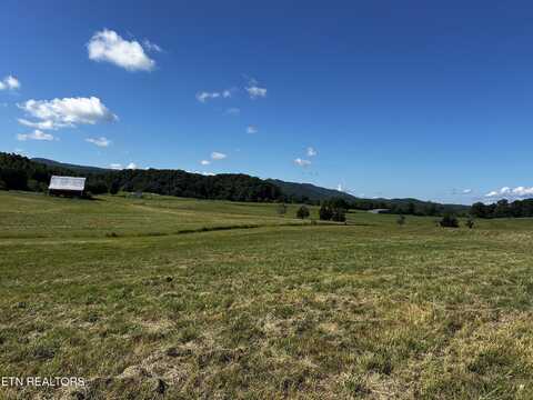 Lot 8 Old Mill Rd, Tellico Plains, TN 37385