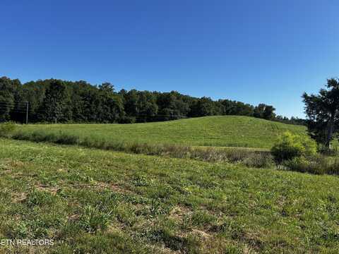 Lot 3 Reliance Rd, Tellico Plains, TN 37385