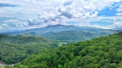 45 Acres S Highway 340, Parrottsville, TN 37843