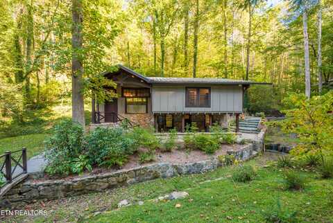 259 Black Mash Hollow Rd, Townsend, TN 37882