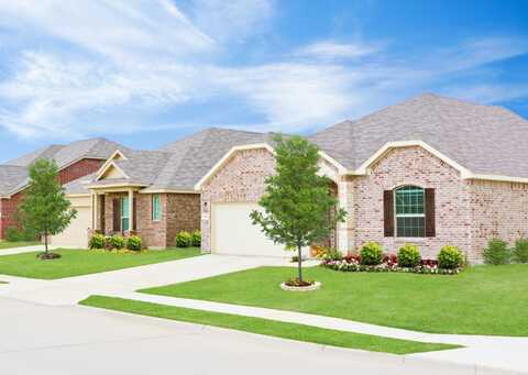 905 Calley Pear Trail, Princeton, TX 75407