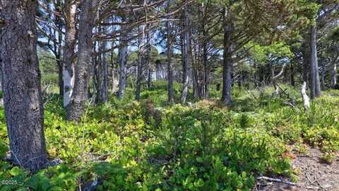 T/L 4600 NW Raspberry Lane, Seal Rock, OR 97376