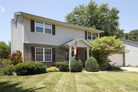 525 Big Bend Boulevard, Swansea, IL 62226