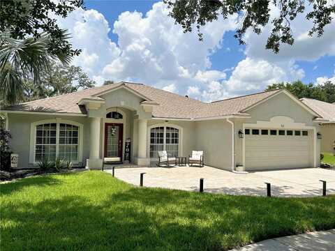 702 BERRY BRAMBLE DRIVE, BRANDON, FL 33510