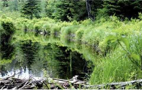 Map 3 - 30 Marshfield Flats Road, Marshfield, ME 04654