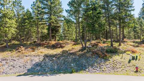 251 Whisper Ridge Drive, Bigfork, MT 59911