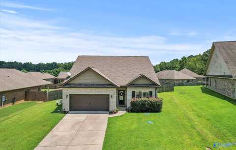 105 Clydesdale Lane, Harvest, AL 35749
