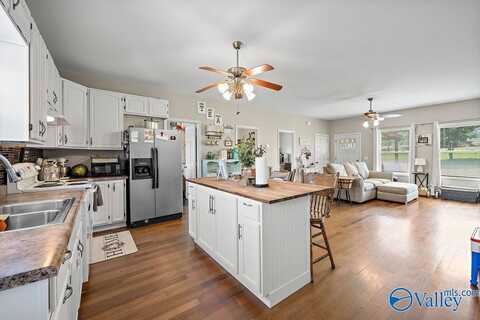 768 Mount Road, Scottsboro, AL 35769