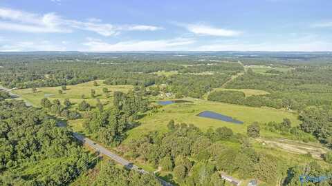 52 Ac Mccurdy Avenue, Rainsville, AL 35986