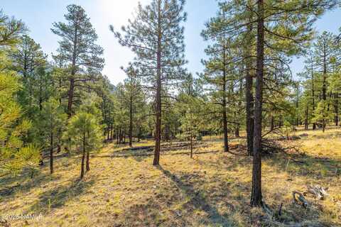 4195 N Subera Lane, Flagstaff, AZ 86001