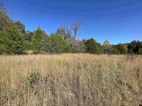 TBD LIGHT ROAD, Clarkridge, AR 72623