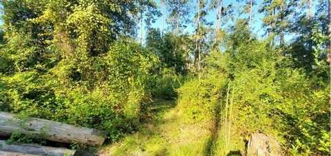 29260 PAQUET Road, Lacombe, LA 70445