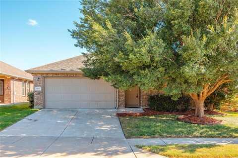 11817 Summer Springs Drive, Frisco, TX 75036
