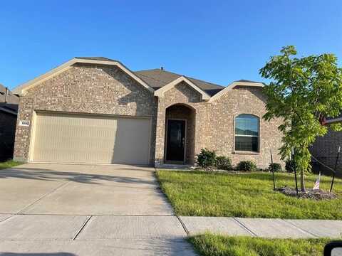1113 Sassafras Drive, Princeton, TX 75407