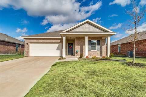 501 Indian Creek, Anna, TX 75409