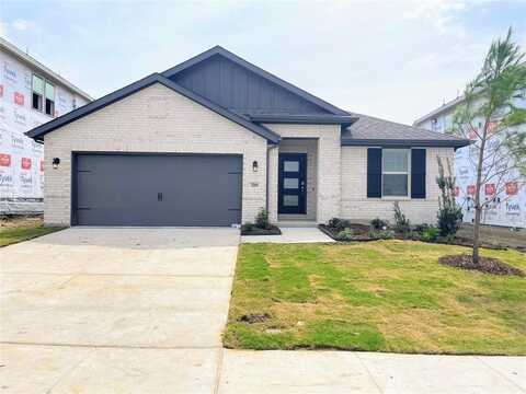 3209 Loftwood Lane, Anna, TX 75409