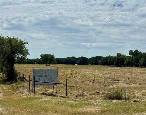 Tract 2 Lyman T. Davis Road, Corsicana, TX 75110